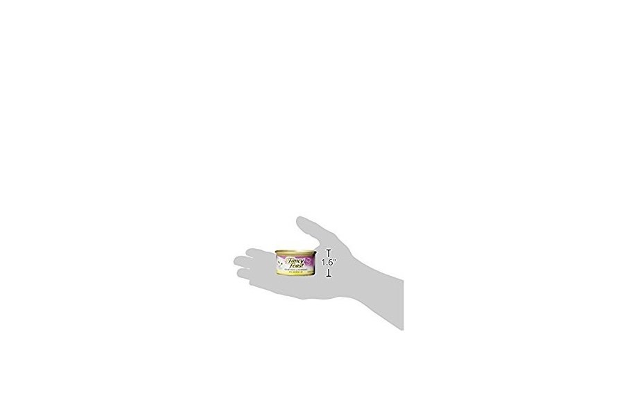 Fancy Feast - Comida gourmet para gatos con carne tierna y hígado, 3 oz - Image 2