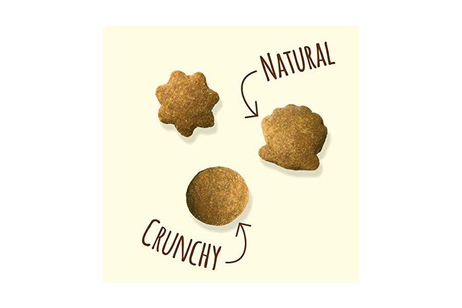 Premios naturales para gatos Purina Friskies, mezcla para fiestas, delicias naturales con pollo auténtico, vitaminas, minerales y nutrientes - Envase de 900 g - Image 2