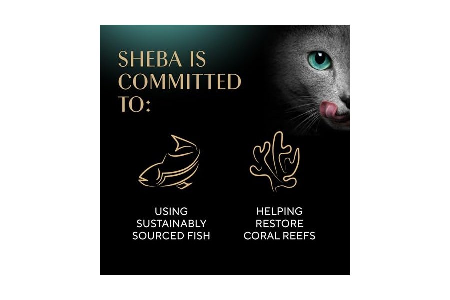 Bandejas de comida húmeda para gatos Sheba Perfect Portions Cuts in Gravy (24 unidades, 48 ​​porciones), paquete variado de salmón, trucha y atún sostenible, bandejas fáciles de despegar en paquetes dobles. - Image 7