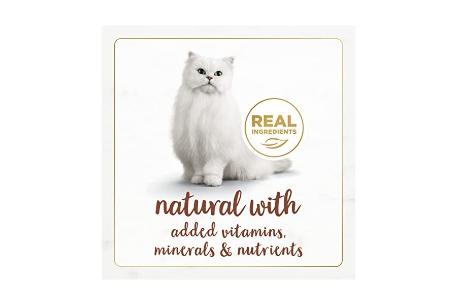 Alimento húmedo para gatos Purina Fancy Feast Natural Gourmet Naturals con receta de carne de res en salsa - (Paquete de 12) Latas de 85 g - Image 3