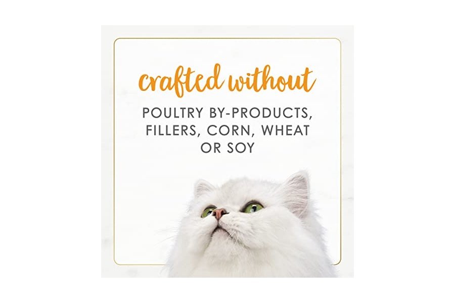 Alimento húmedo para gatos Purina Fancy Feast Gourmet Naturals con receta de pavo, 85 g (paté), caja de 12 unidades (12 x 85 g) - Image 6