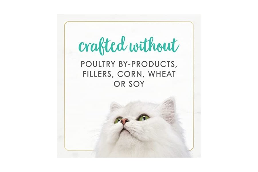 Alimento húmedo para gatos Purina Fancy Feast, receta de pescado blanco del océano, paquete de 12 latas de 85 g - Image 6