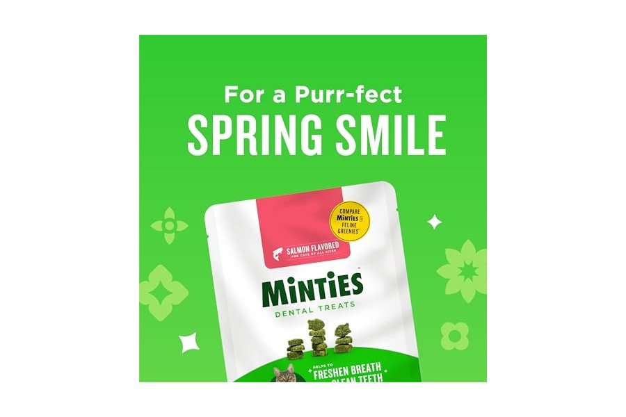 Premios dentales Minties para gatos, con sabor a salmón, refrescan el aliento y controlan el sarro, 10 oz - Image 3
