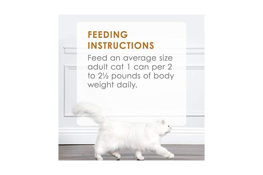 Alimento húmedo para gatos Purina Fancy Feast Gravy, paquete variado, para amantes de la salsa, aves y carne de res - (30) latas de 85 g - Image 10