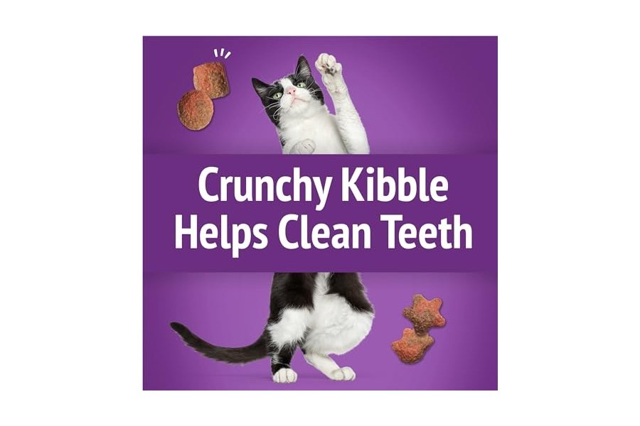 Premios para gatos Purina Friskies, mezcla para fiestas, sabor a pavo y salsa gravy-licious Crunch - (Paquete de 6) Bolsas de 177 g - Image 5