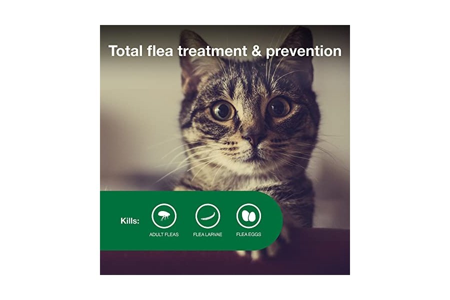 Advantage II para gatos pequeños de 2,25 a 4 kg y Advantage II para gatos grandes de más de 4 kg. Tratamiento y prevención contra pulgas recomendado por veterinarios | Suministro para 2 meses cada uno - Image 3