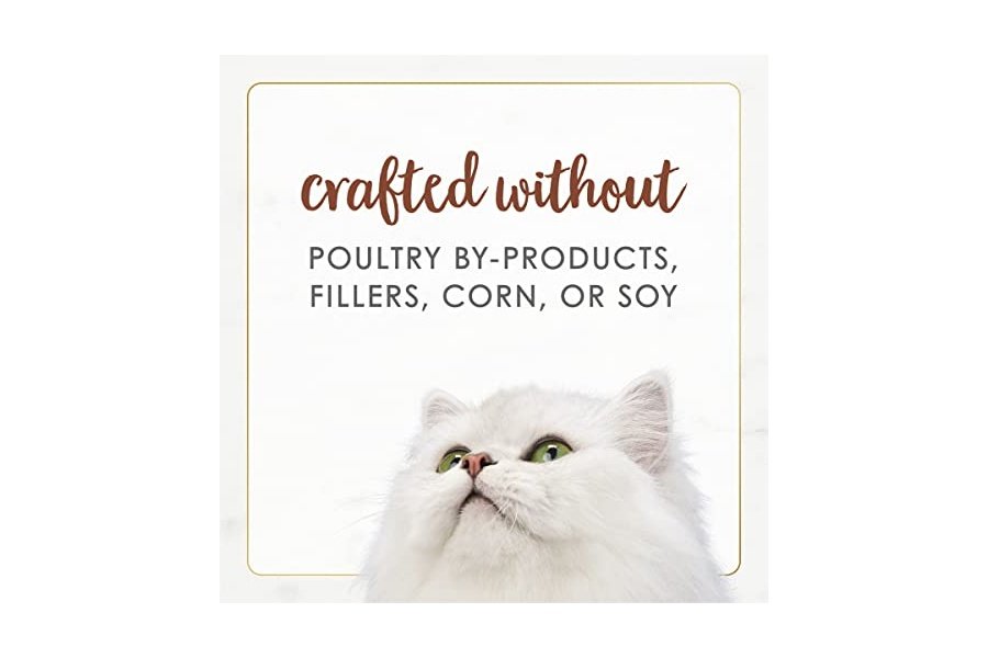 Alimento húmedo para gatos Purina Fancy Feast Natural Gourmet Naturals con receta de carne de res en salsa - (Paquete de 12) Latas de 85 g - Image 6