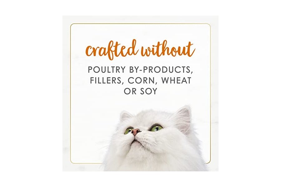 Alimento húmedo para gatos Purina Fancy Feast Paté Gourmet Naturals con receta de salmón salvaje de Alaska - (Paquete de 12) latas de 85 g - Image 6