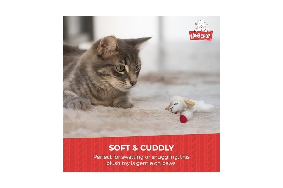 Juguete de peluche para gato Multipet Lamb Chop con hierba gatera - Juguete masticable para gatos pequeños - Juguete de peluche extrasuave - Juguete para acurrucarse y jugar - Bonito juguete para mascotas (10 cm, color crema) - Image 4