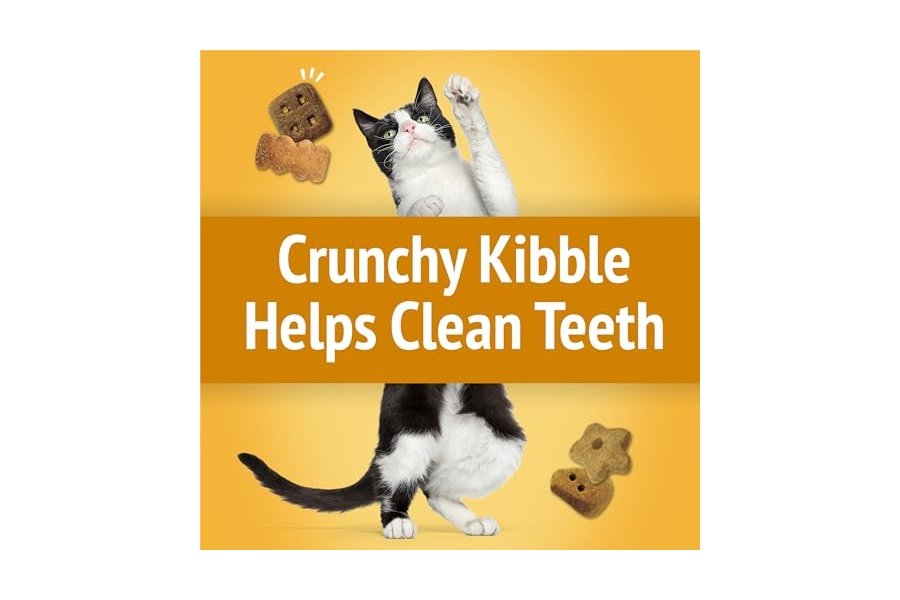 Premios para gatos Purina Friskies, mezcla para fiestas Cheezy Craze Crunch - Bolsa de 590 g - Image 4