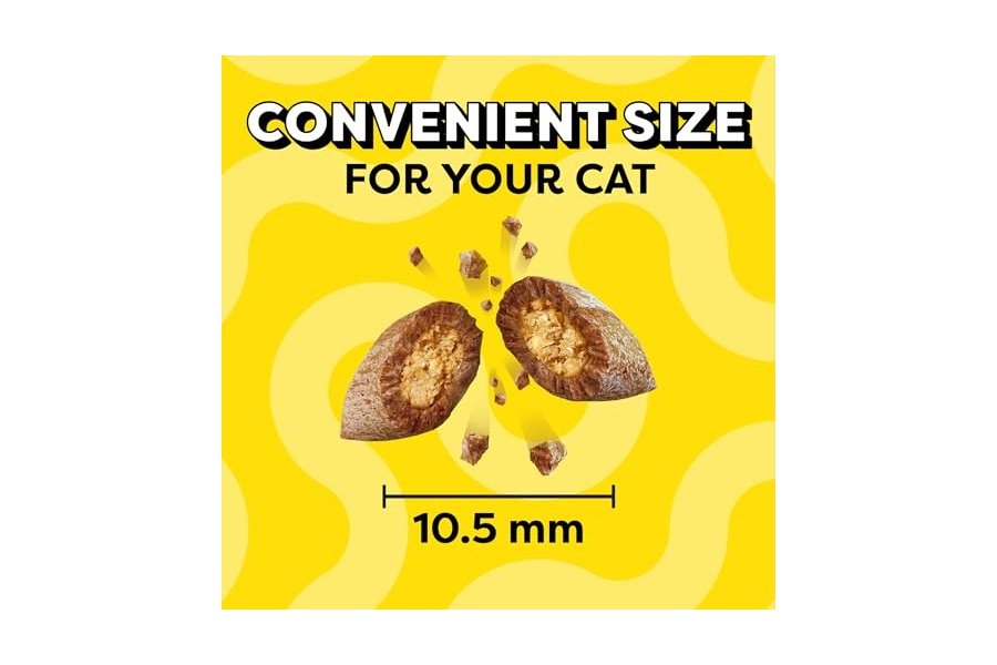 Temptations Classic Crunchy and Soft Cat Treats Sabor a Salmón, Envase de 16 oz - Image 9