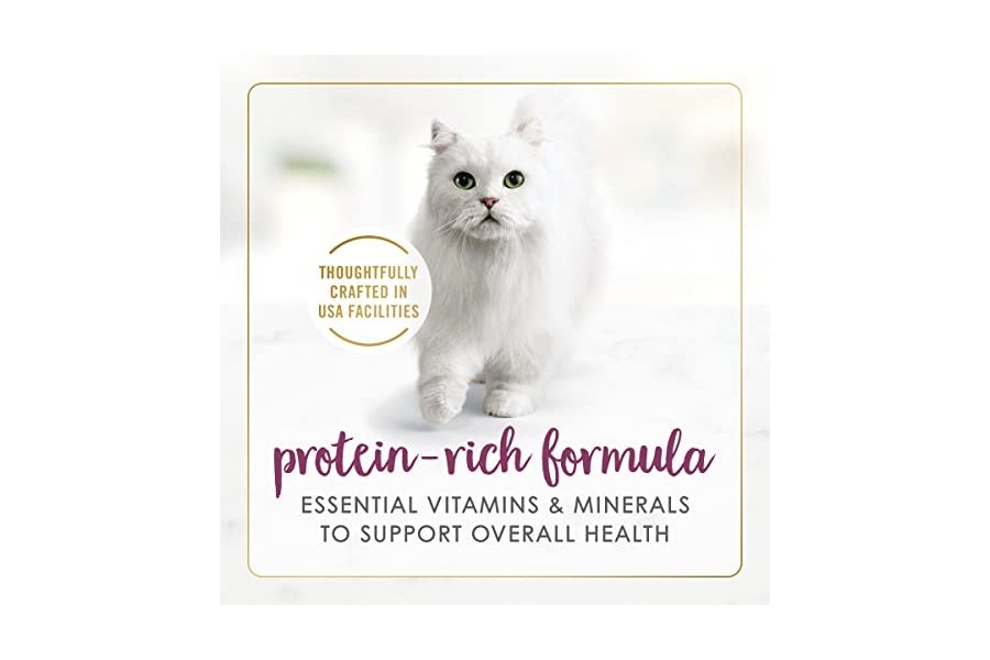 Comida húmeda para gatos Purina Fancy Feast a la parrilla, con pollo en salsa - (Paquete de 12) latas de 85 g - Image 4