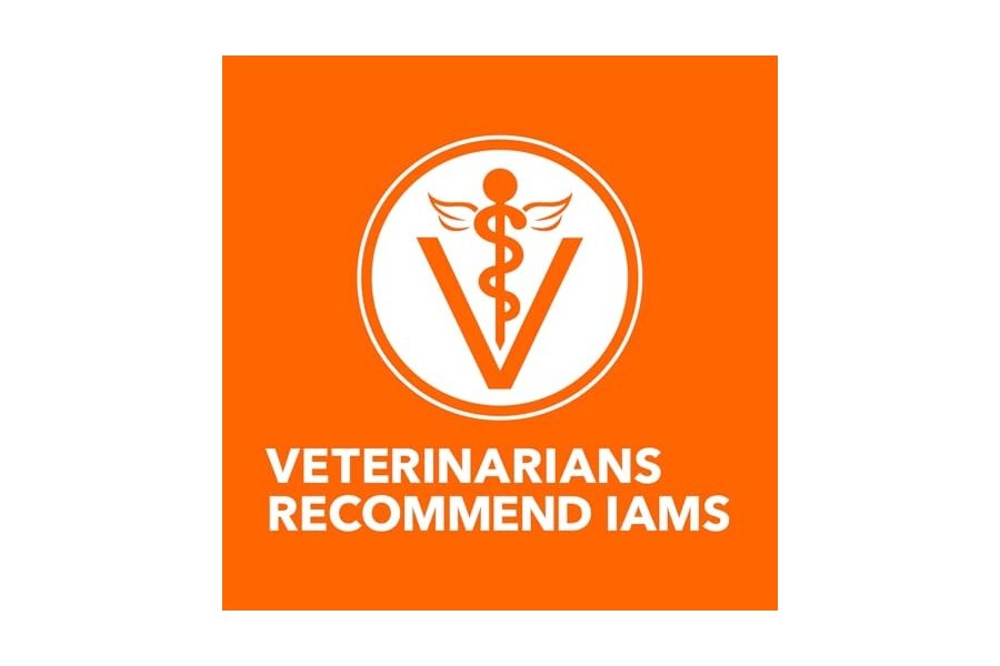 Alimento seco para gatos adultos IAMS Proactive Health con pollo y pavo, control de peso en interiores y cuidado de bolas de pelo, bolsa de 22 lb - Image 5
