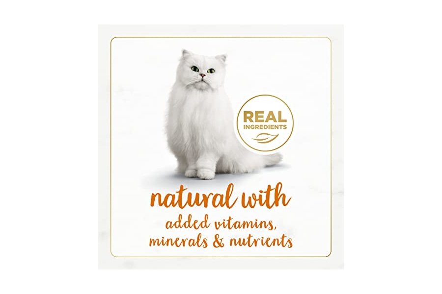 Alimento húmedo para gatos Purina Fancy Feast Paté Gourmet Naturals con receta de salmón salvaje de Alaska - (Paquete de 12) latas de 85 g - Image 3
