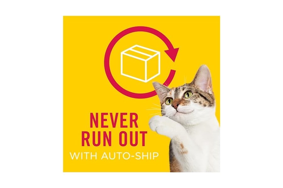 Premios para gatos Purina Friskies, mezcla para fiestas con salsa crujiente y deliciosos sabores de pollo y salsa - Bolsa de 590 g - Image 12