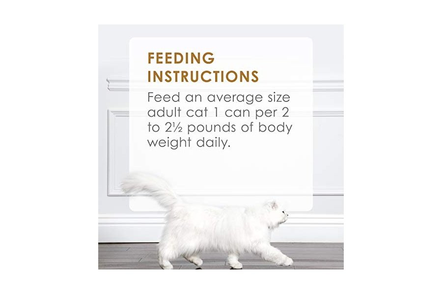 Alimento húmedo para gatos Purina Fancy Feast Gravy, paquete variado, para amantes de la salsa, aves y carne de res - (30) latas de 85 g - Image 9