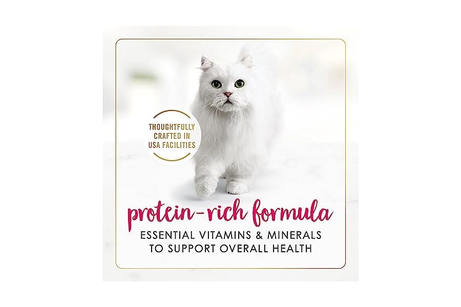 Purina Fancy Feast Chicken Feast Classic Grain Free - Paté húmedo para gatos (paquete de 24) latas de 85 g - Image 3