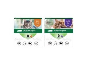 Advantage II para gatos grandes de más de 4 kg y Advantage II para gatos pequeños de 2,2 a 4 kg. Tratamiento y prevención contra pulgas recomendado por veterinarios | Suministro para 6 meses cada uno