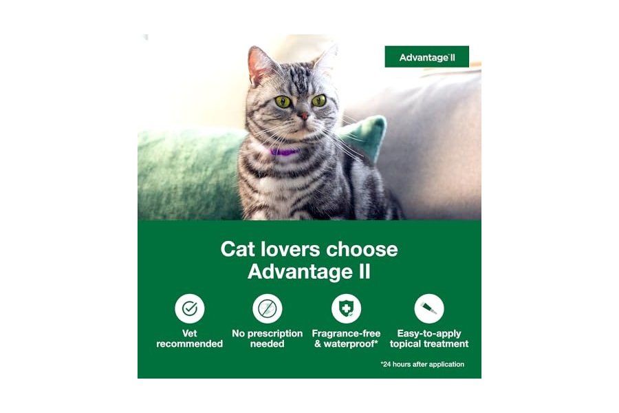 Advantage II para gatos pequeños de 2,25 a 4 kg y Advantage II para gatos grandes de más de 4 kg. Tratamiento y prevención contra pulgas recomendado por veterinarios | Suministro para 2 meses cada uno - Image 2