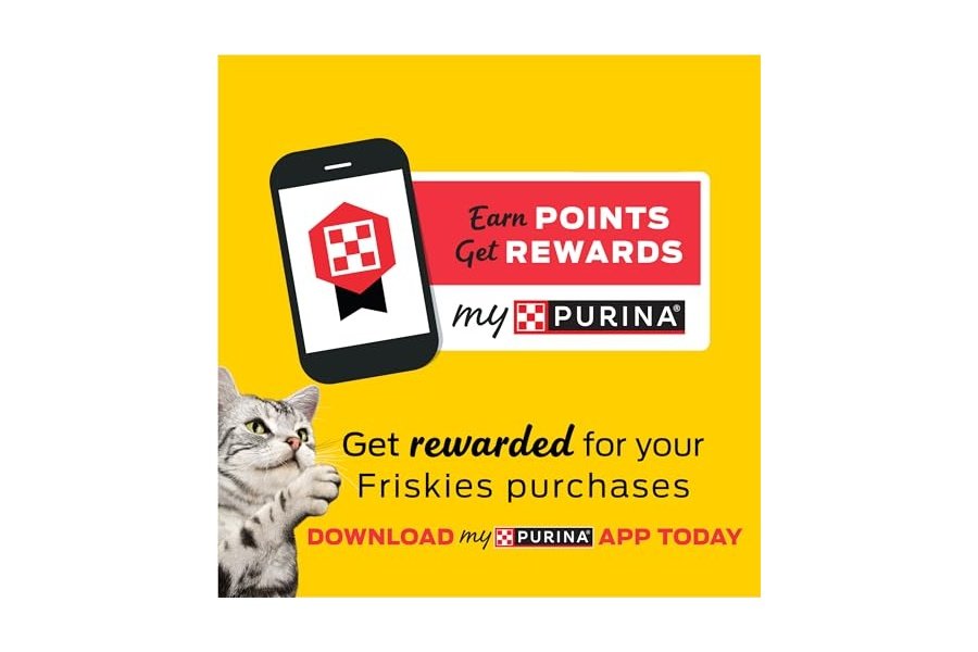 Purina Friskies, fabricado en EE. UU., premios naturales para gatos, mezcla para fiestas Natural Yums con sabor a hierba gatera - Envase de 590 g - Image 9