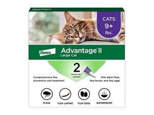 Advantage II Tratamiento y prevención antipulgas recomendado por veterinarios para gatos grandes | Gatos de más de 4 kg | Suministro para 2 meses