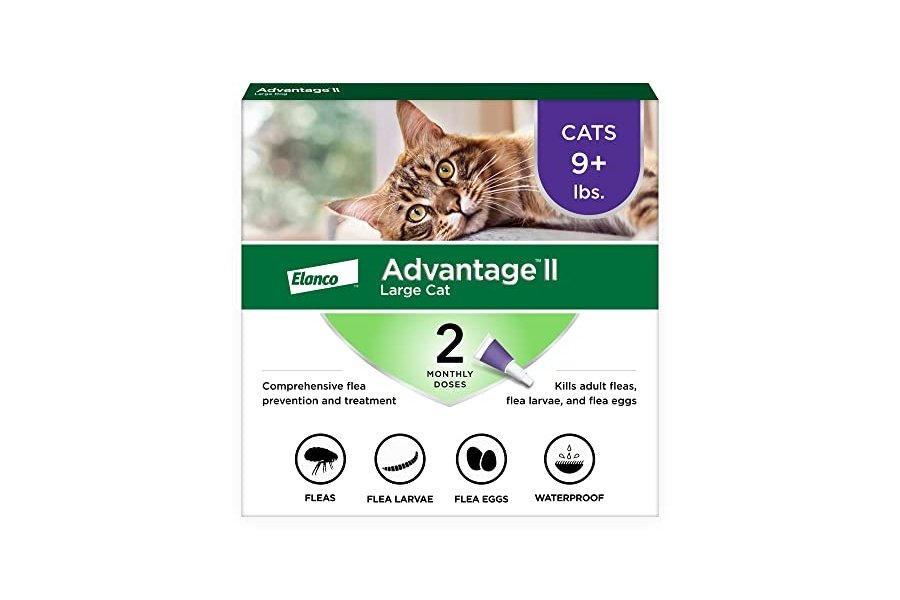 Advantage II Tratamiento y prevención antipulgas recomendado por veterinarios para gatos grandes | Gatos de más de 4 kg | Suministro para 2 meses