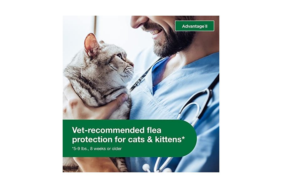 Advantage II para gatos pequeños de 2,25 a 4 kg y Advantage II para gatos grandes de más de 4 kg. Tratamiento y prevención contra pulgas recomendado por veterinarios | Suministro para 2 meses cada uno - Image 4