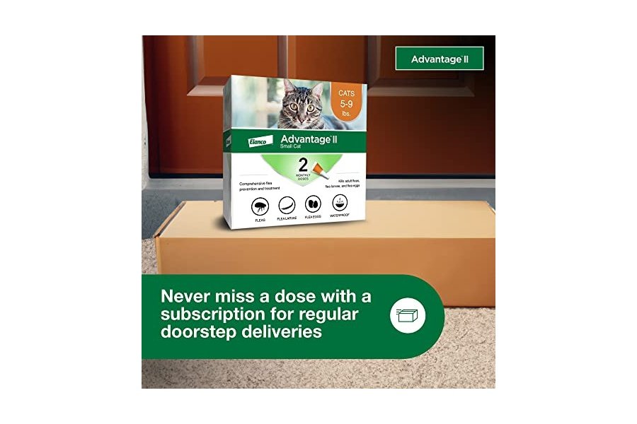 Advantage II para gatos pequeños de 2,25 a 4 kg y Advantage II para gatos grandes de más de 4 kg. Tratamiento y prevención contra pulgas recomendado por veterinarios | Suministro para 2 meses cada uno - Image 7