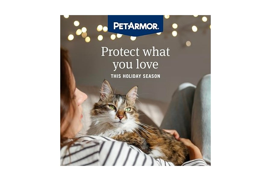 PetArmor Plus - Prevención de pulgas y garrapatas para gatos, tratamiento contra pulgas y garrapatas, 6 dosis, tópico resistente al agua, de acción rápida, para gatos de más de 700 g - Image 2