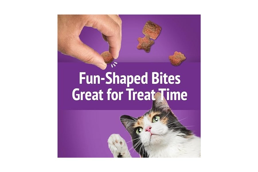 Premios para gatos Purina Friskies, mezcla para fiestas, sabor a pavo y salsa gravy-licious Crunch - (Paquete de 6) Bolsas de 177 g - Image 9