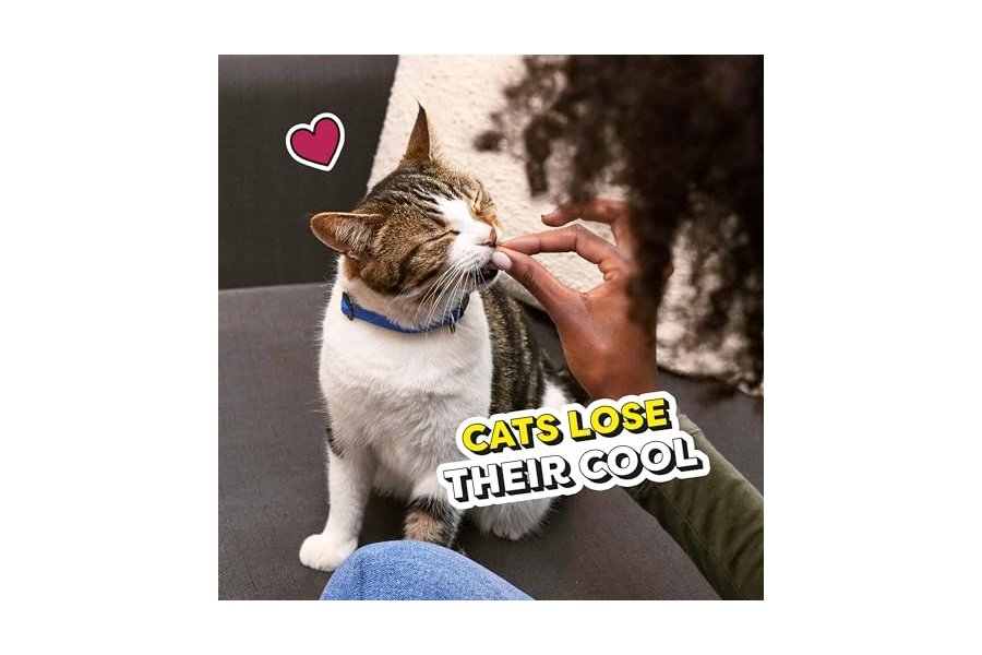 Temptations Classic Crunchy and Soft Cat Treats - Sabor cremoso a lácteos, envase de 473 g - Image 11