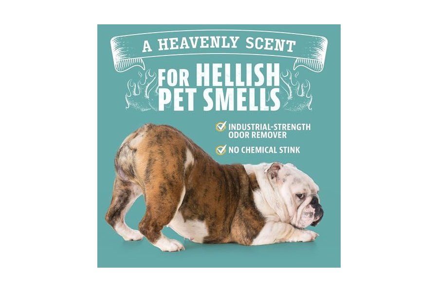 Eliminador de olores para mascotas ANGRY ORANGE: orina de perro y gato, manchas de alfombras y olores fuertes. Limpiador cítrico con aceite de naranja natural. 24 oz. - Image 7