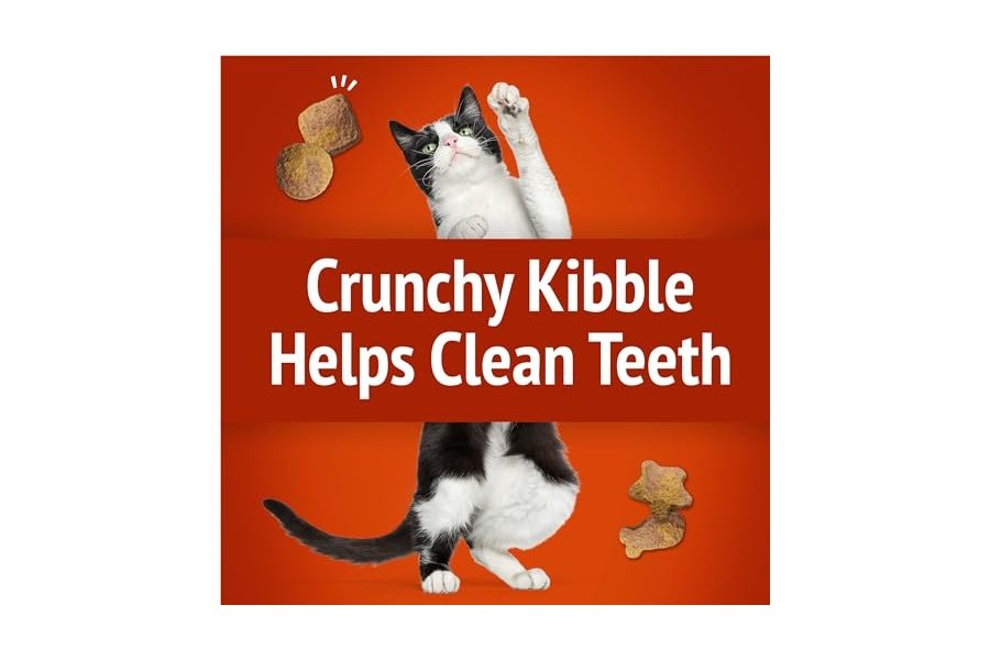 Premios para gatos Purina Friskies, mezcla para fiestas con salsa crujiente y deliciosos sabores de pollo y salsa - (Paquete de 6) Bolsas de 170 g - Image 5