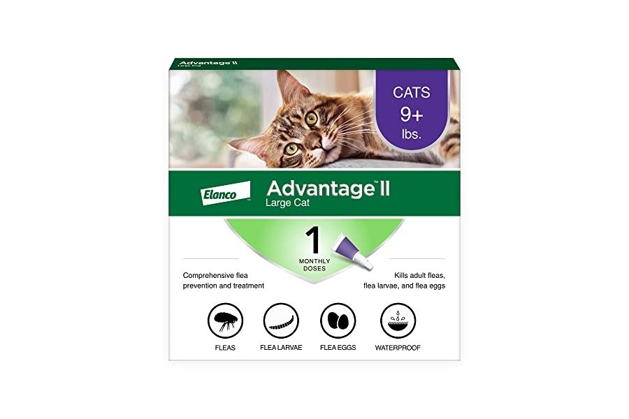Advantage II - Tratamiento y prevención antipulgas recomendado por veterinarios para gatos grandes | Gatos de más de 4 kg | Suministro para 1 mes