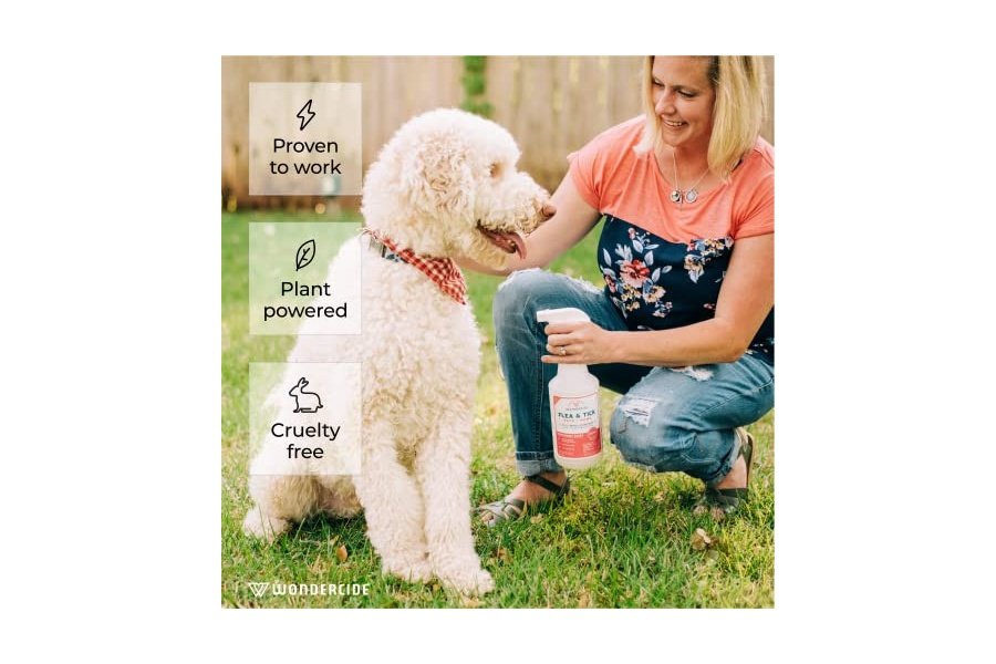Wondercide - Spray contra pulgas, garrapatas y mosquitos para perros, gatos y el hogar - Elimina, controla, previene y trata pulgas y garrapatas - Con aceites esenciales naturales - Seguro para mascotas y familias - Menta 4 oz - Image 2