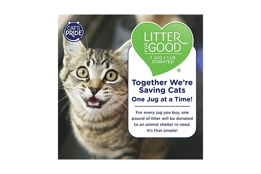 Arena aglomerante ligera premium Cat's Pride: pura y fresca, hasta 10 días de potente control de olores, para varios gatos, perfumada, 4.5 kg - Image 8