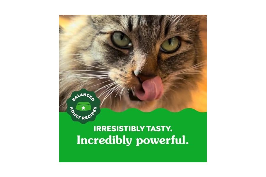Premios dentales para gatos Greenies Feline Adult, sabor a pollo asado al horno, envase de 250 g - Image 12