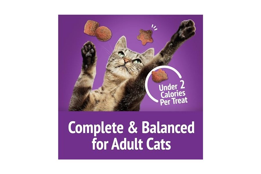 Premios para gatos Purina Friskies, mezcla para fiestas, sabor a pavo y salsa gravy-licious Crunch - (Paquete de 6) Bolsas de 177 g - Image 8