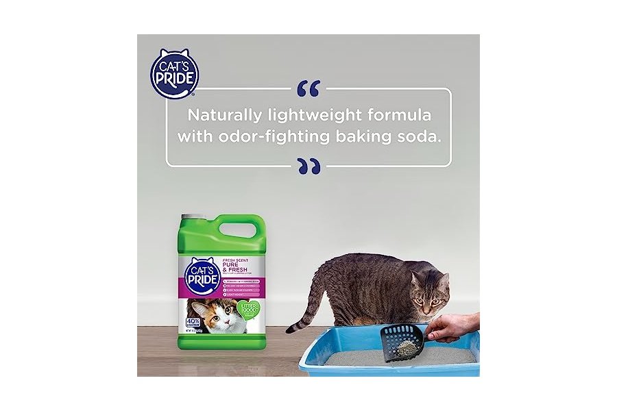 Arena aglomerante ligera premium Cat's Pride: pura y fresca, hasta 10 días de potente control de olores, para varios gatos, perfumada, 4.5 kg - Image 7