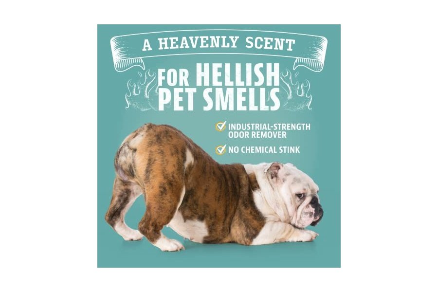 Eliminador de olores para mascotas Angry Orange: orina de perros y gatos, manchas de alfombras y olores fuertes. Limpiador cítrico con aceite de naranja natural. 1 galón. - Image 7