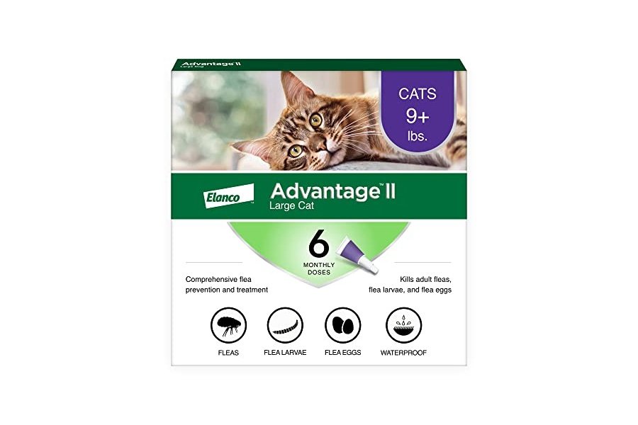 Advantage II Tratamiento y prevención antipulgas recomendado por veterinarios para gatos grandes | Gatos de más de 4 kg | Suministro para 6 meses