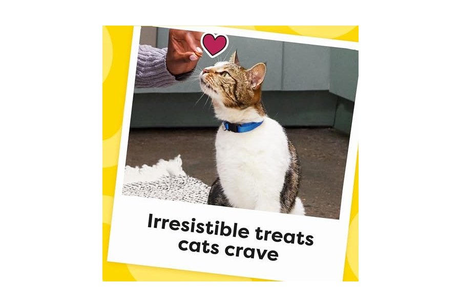 Temptations Classic Crunchy and Soft Cat Treats Sabor a Pollo, Envase de 30 oz - Image 10