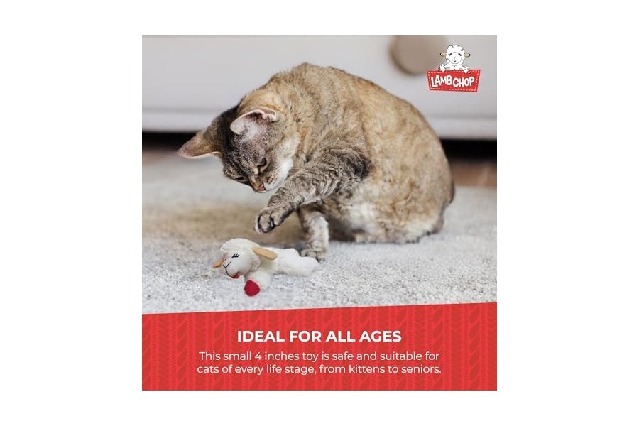 Juguete de peluche para gato Multipet Lamb Chop con hierba gatera - Juguete masticable para gatos pequeños - Juguete de peluche extrasuave - Juguete para acurrucarse y jugar - Bonito juguete para mascotas (10 cm, color crema) - Image 7