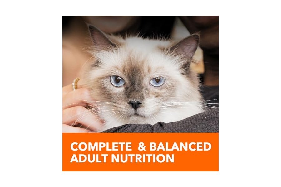 Alimento seco para gatos adultos IAMS Proactive Health con pollo y pavo, control de peso en interiores y cuidado de bolas de pelo, bolsa de 22 lb - Image 11