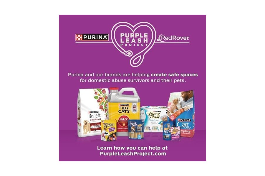 Premios para gatos Purina Friskies, mezcla para fiestas Cheezy Craze Crunch - Bolsa de 590 g - Image 10