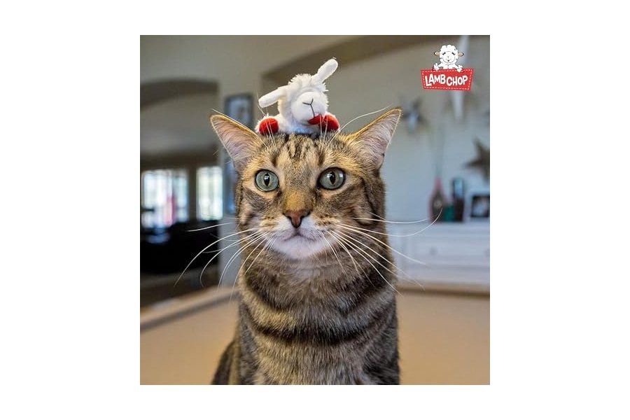 Juguete de peluche para gato Multipet Lamb Chop con hierba gatera - Juguete masticable para gatos pequeños - Juguete de peluche extrasuave - Juguete para acurrucarse y jugar - Bonito juguete para mascotas (10 cm, color crema) - Image 8