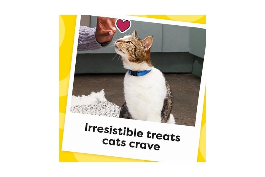 Temptations Classic Crunchy and Soft Cat Treats - Sabor cremoso a lácteos, envase de 473 g - Image 10