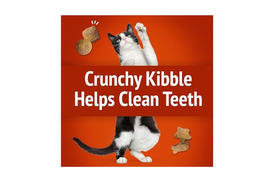 Premios para gatos Purina Friskies, mezcla para fiestas con salsa crujiente y deliciosos sabores de pollo y salsa - Bolsa de 590 g - Image 4
