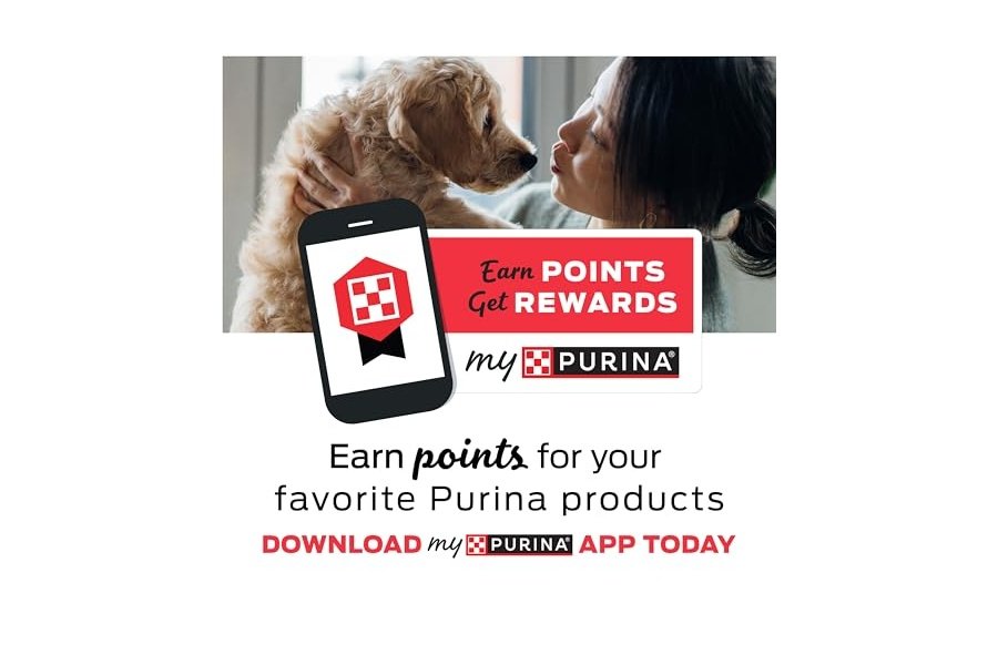 Purina Friskies, fabricado en EE. UU., premios naturales para gatos, mezcla para fiestas, sabor a hierba gatera Natural Yums - (paquete de 10) bolsitas de 54 g - Image 3