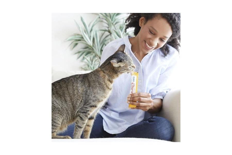 INABA Churu - Premios para gatos, puré cremoso para lamer y apretar, con extracto de té verde y taurina, 14 g cada tubo, 20 tubos, caja variada con pollo - Image 2